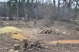 Lot 1 Asbury Ave, Fox River Grove, IL 60021 - Photo 1