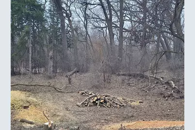 Lot 1 Asbury Avenue, Fox River Grove, IL 60021 - Photo 6