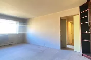 1060 W Hollywood Ave, Chicago, IL 60660 - Photo 4