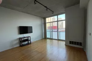 1620 S Michigan Ave, Chicago, IL 60616 - Photo 8