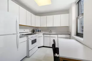 253 E Delaware Pl, Chicago, IL 60611 - Photo 8