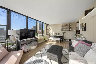 345 E Eastgate Pl, Chicago, IL 60616 - Photo 6