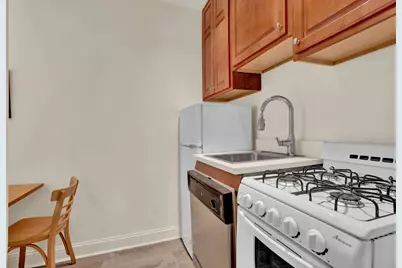 1100 N La Salle Drive #511, Chicago, IL 60610 - Photo 8