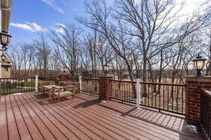 7827 Emma Ct, Orland Park, IL 60462 - Photo 10