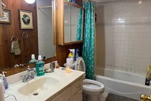 24314 S Burr Rd, Channahon, IL 60410 - Photo 16