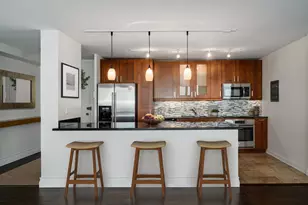 910 N Lake Shore Dr, Chicago, IL 60611 - Photo 12