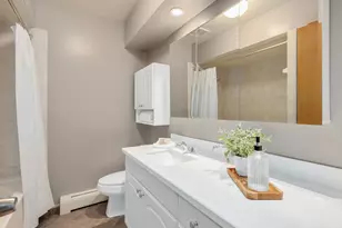 27 S Waiola Ave, La Grange, IL 60525 - Photo 20