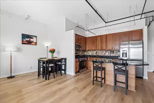 833 W 15th Pl, Chicago, IL 60607 - Photo 4