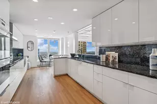 161 E Chicago Ave, Chicago, IL 60611 - Photo 6