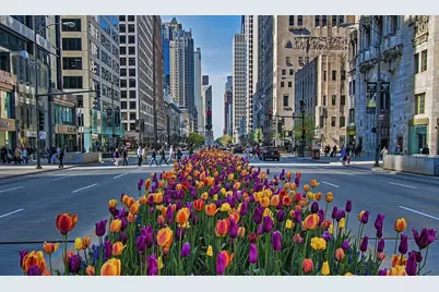 [Address not provided], Chicago, IL 60611 - Photo 24