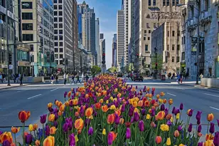 161 E Chicago Ave, Chicago, IL 60611 - Photo 24