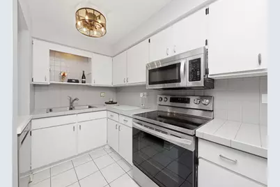 483 N Larch Avenue #204W, Elmhurst, IL 60126 - Photo 6