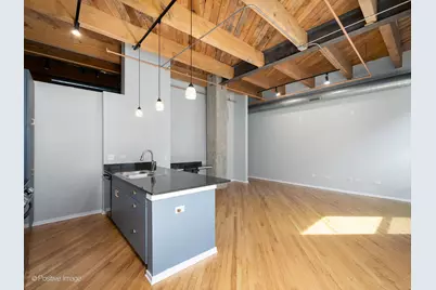 1040 W Adams Street #245, Chicago, IL 60607 - Photo 10