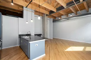 1040 W Adams St, Chicago, IL 60607 - Photo 10