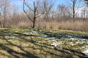 22503 S State St, Steger, IL 60475 - Photo 20