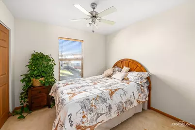 24336 W Apple Tree Lane, Plainfield, IL 60585 - Photo 22