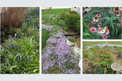 350 Windsor Court #B, South Elgin, IL 60177 - Photo 34