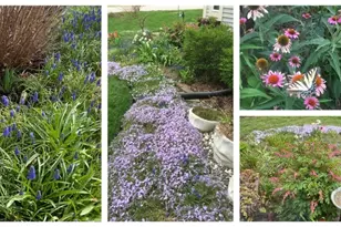 350 Windsor Ct, South Elgin, IL 60177 - Photo 34