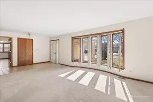 11008 84th Pl, Willow Springs, IL 60480 - Photo 8