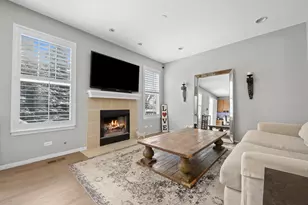 21889 W Talia Ln, Deer Park, IL 60010 - Photo 4