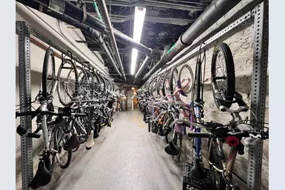 633 S Plymouth Court #1107, Chicago, IL 60605 - Photo 20