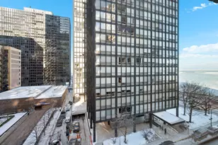 850 N Lake Shore Dr, Chicago, IL 60611 - Photo 22