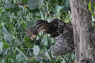 2651 N 45th Rd, Sandwich, IL 60548 - Photo 28