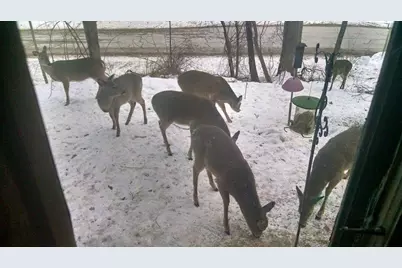 2651 N 45th. Road, Sandwich, IL 60548 - Photo 32