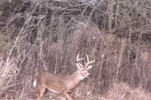 2651 N 45th Rd, Sandwich, IL 60548 - Photo 34