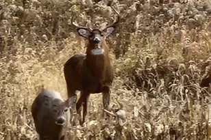 2651 N 45th Rd, Sandwich, IL 60548 - Photo 36