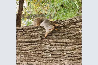 2651 N 45th. Road, Sandwich, IL 60548 - Photo 30