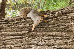 2651 N 45th Rd, Sandwich, IL 60548 - Photo 30