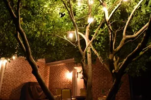 19824 Maydell Ct, Tinley Park, IL 60487 - Photo 40