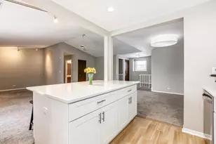 176 Grove Ave, Des Plaines, IL 60016 - Photo 10