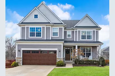 229 Grant Street, Downers Grove, IL 60515 - Photo 1