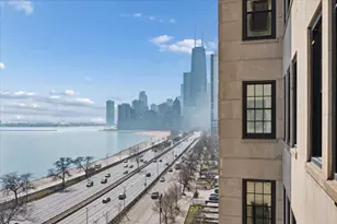 1500 N Lake Shore Dr, Chicago, IL 60610 - Photo 10