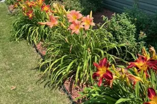 590 Brentwood Rd, Machesney Park, IL 61115 - Photo 50