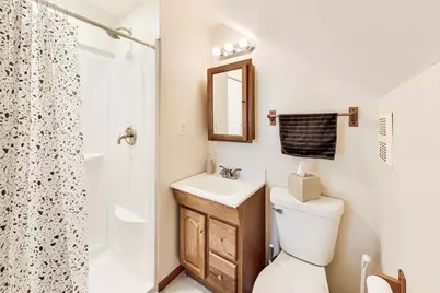 37464 N Terrace Lane, Spring Grove, IL 60081 - Photo 22