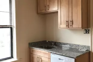 1128 W Pratt Blvd, Chicago, IL 60626 - Photo 10