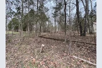 Lot 1234 Indian Camp Drive, Orangeville, IL 62939 - Photo 6