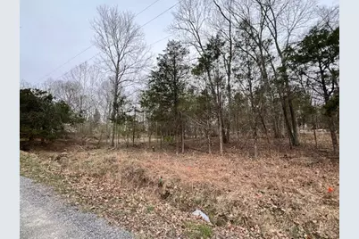 Lot 1234 Indian Camp Drive, Orangeville, IL 62939 - Photo 1