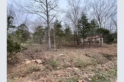 Lot 1234 Indian Camp Drive, Orangeville, IL 62939 - Photo 2