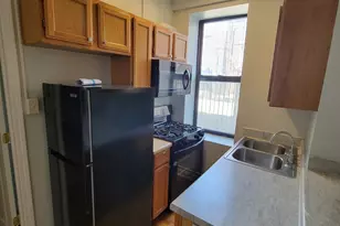 1340 W 18th Pl, Chicago, IL 60608 - Photo 4