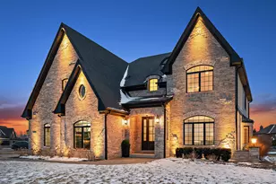 11529 Torino Way, Frankfort, IL 60423 - Photo 54