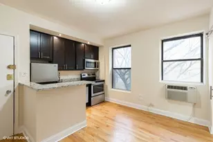 1430 N Dearborn Pkwy, Chicago, IL 60610 - Photo 2