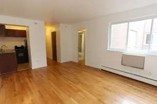 1040 W Hollywood Ave, Chicago, IL 60660 - Photo 6