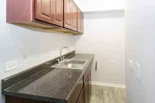 1040 W Hollywood Ave, Chicago, IL 60660 - Photo 2