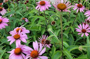 1447 Club Dr, Glendale Heights, IL 60139 - Photo 20