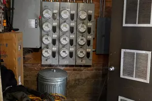 1131 S Sacramento Blvd, Chicago, IL 60612 - Photo 12