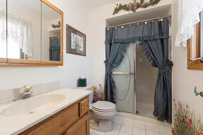 16133 Rosebud Place, Orland Hills, IL 60487 - Photo 14